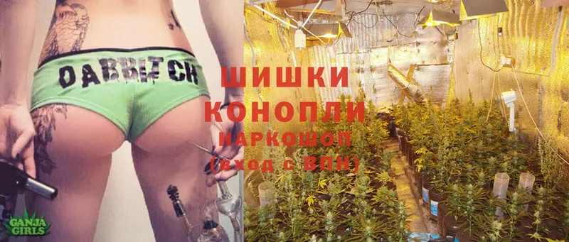 хочу наркоту  Шлиссельбург  ссылка на мегу сайт  Бошки марихуана SATIVA & INDICA 